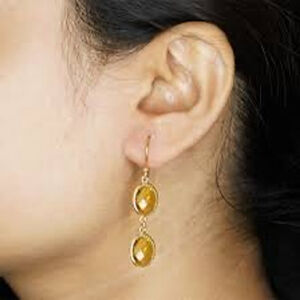 Dana Buchman Ocelot Earrings with Stones NWT